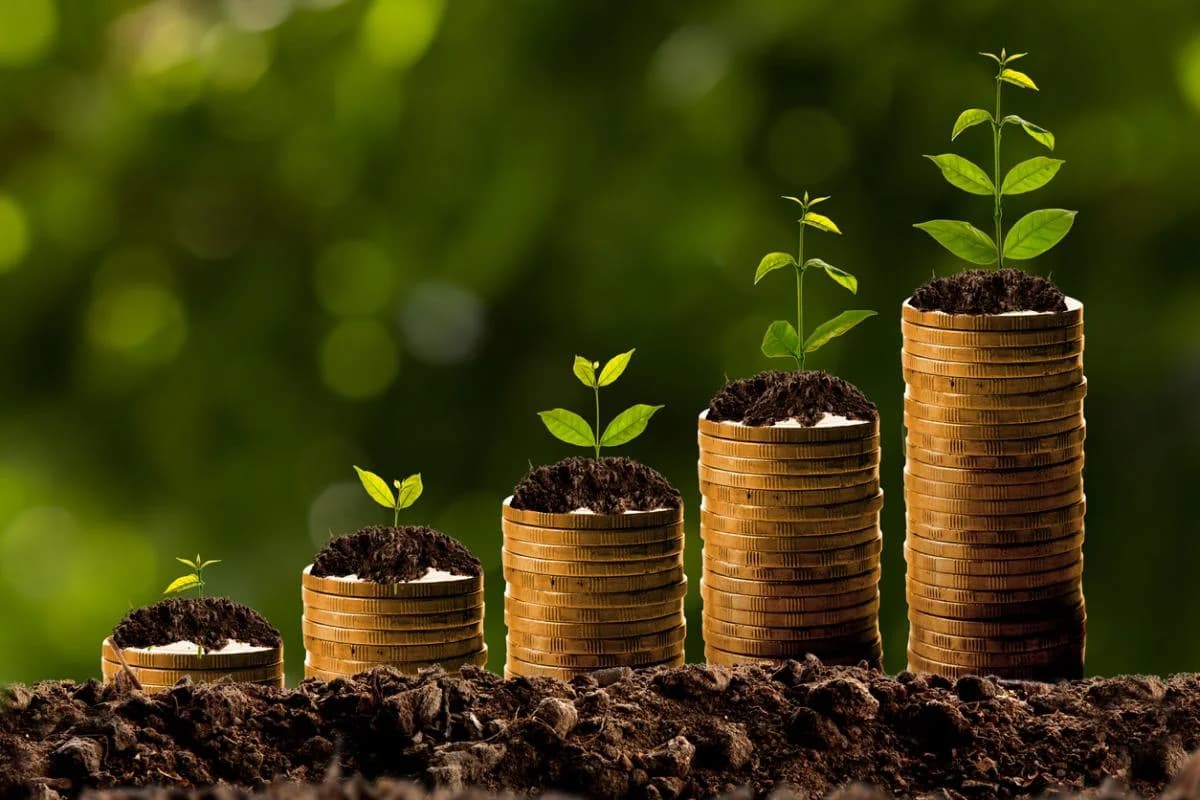 Executive Pay & ESG Performance: The Illusion of Real Impact?