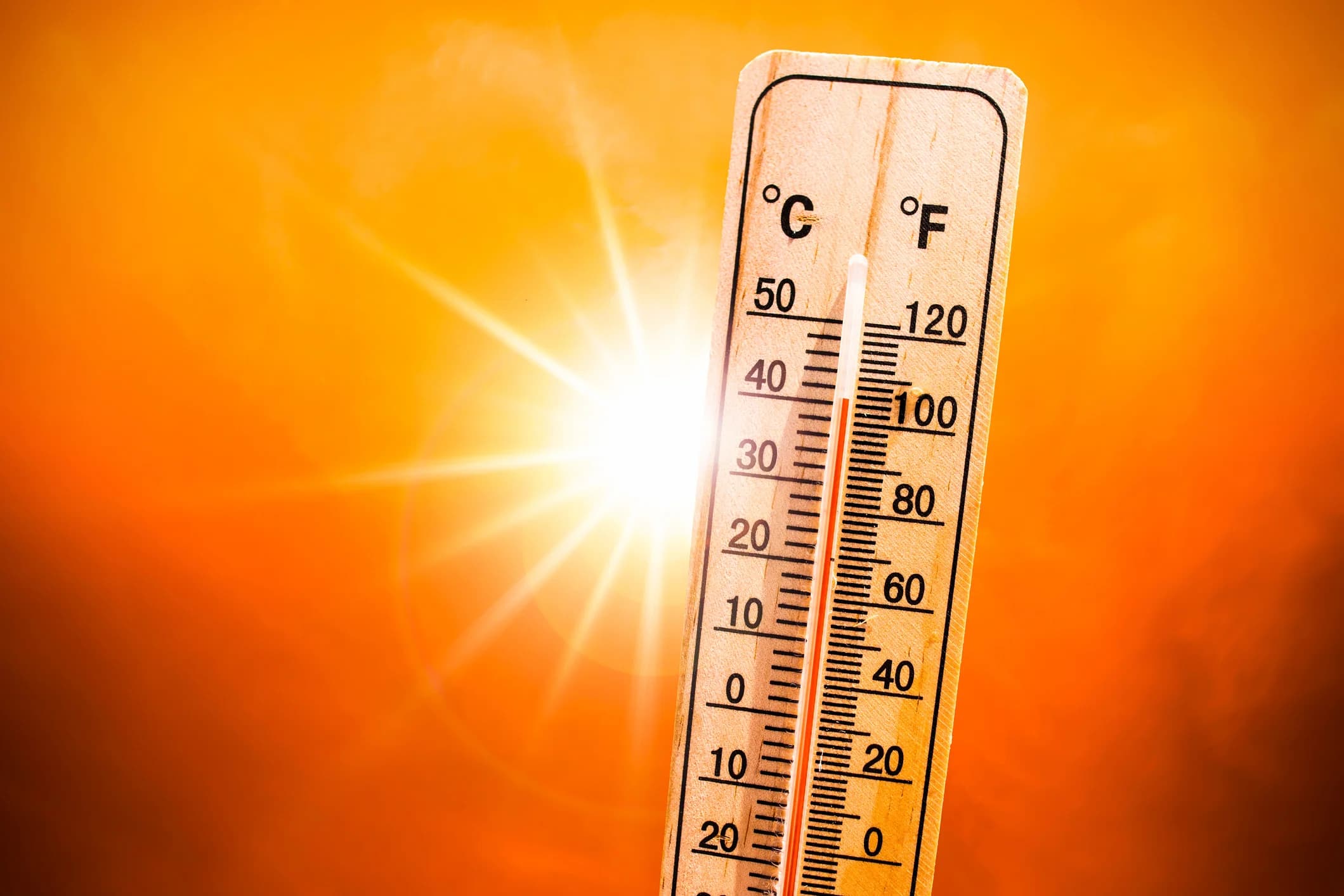 What a UK Heatwave Taught Me About Climate Adaptation: Why Building Design Matters