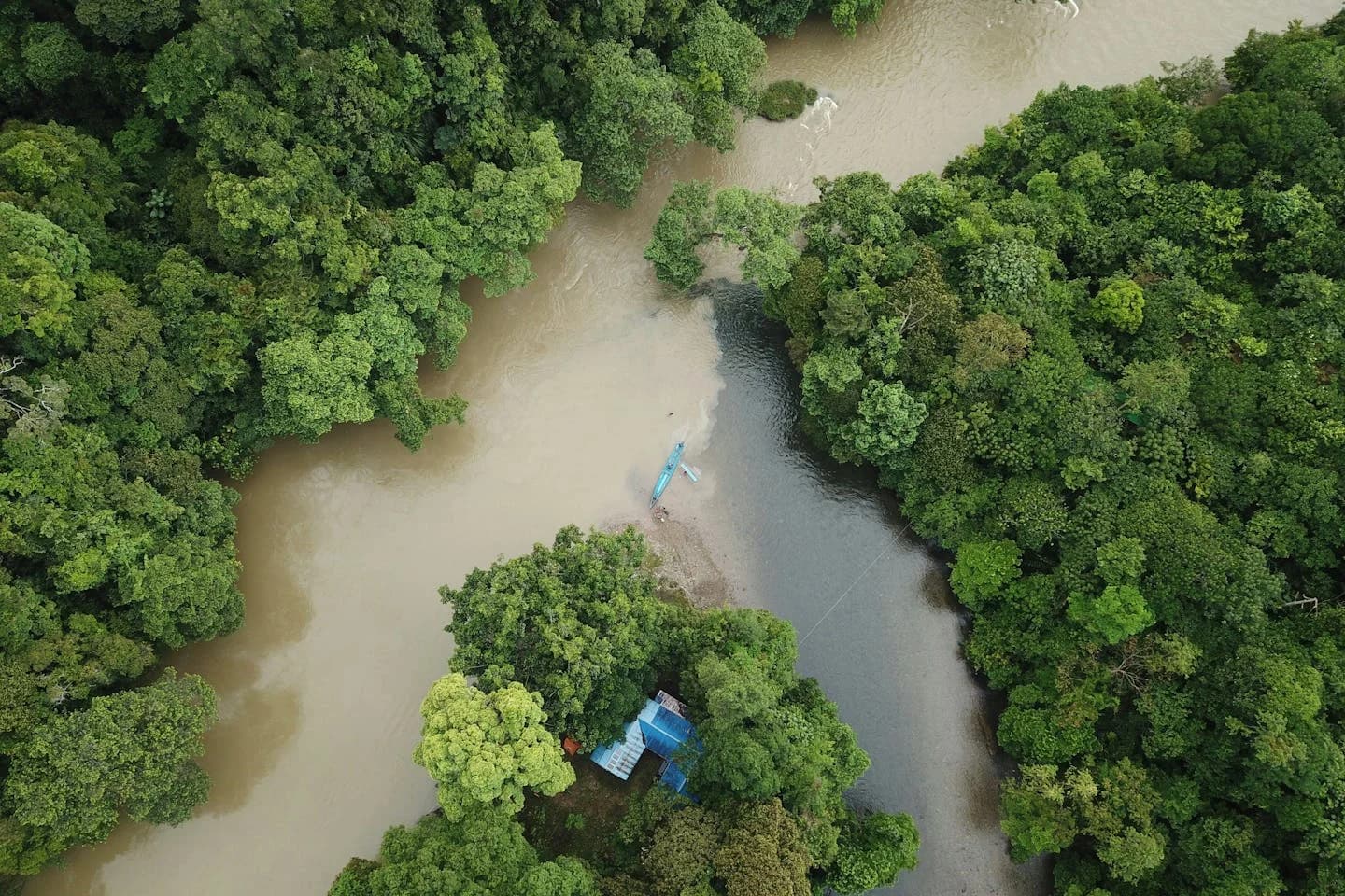 High-Integrity Nature Carbon Markets: Supply & Demand Trends in Asia