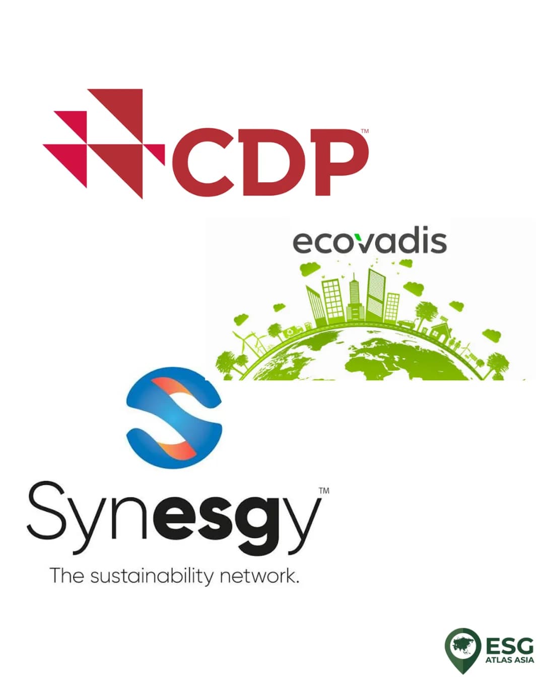 Synesgy, EcoVadis, and CDP: Which ESG platform does Vietnamese business prefer?