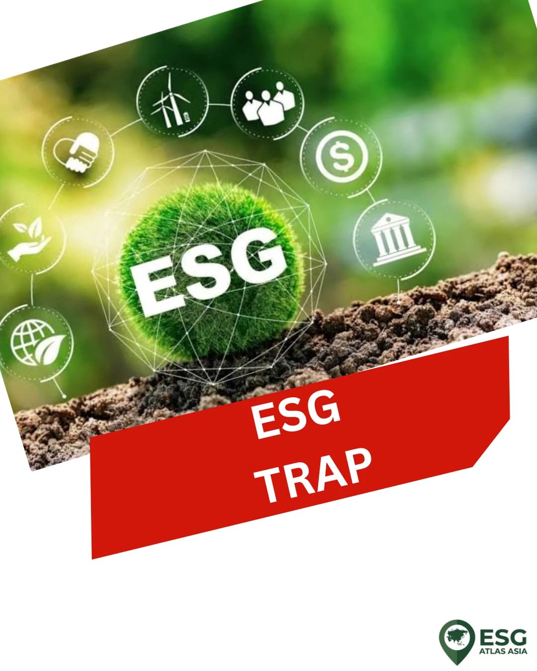 Perfect reports dont deliver sustainability - A message to Sustainability Practitioners