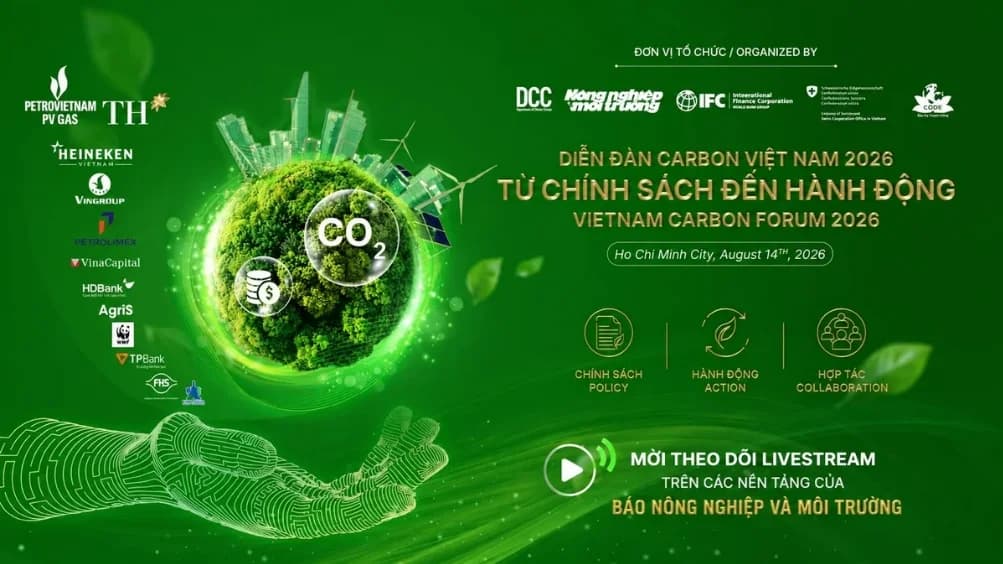 Vietnam’s Carbon Market: Moving from Policy Architecture to Operational Reality