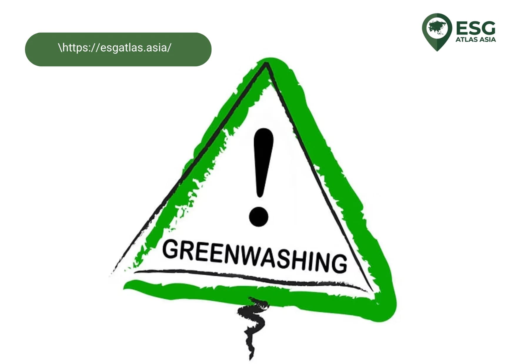 The real face of Greenwashing